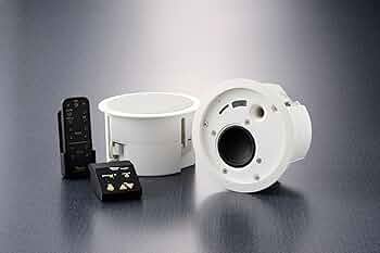 Amazon.co.jp: 天井埋込型 Bluetoothplayer ABP-R03-MS : 家電